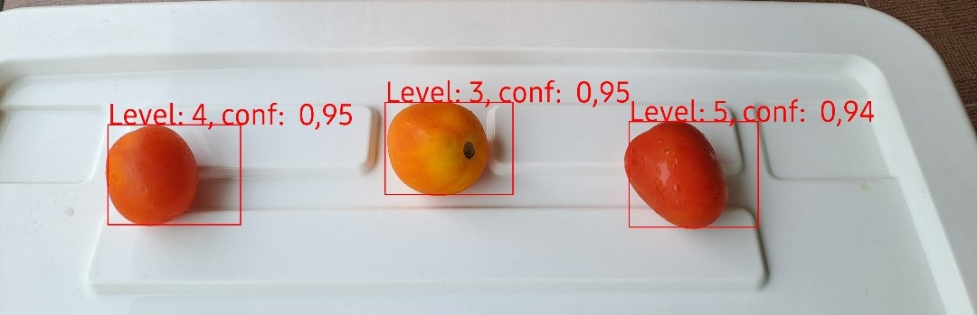 Tomato Classification